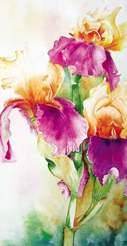 Конверт Ирисы (10 шт.)