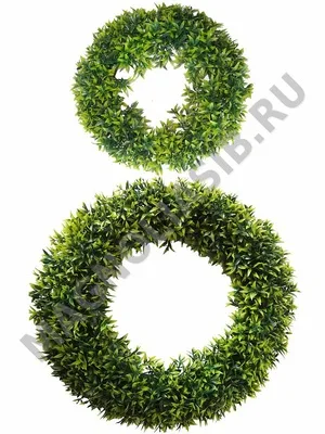 Кольца пластмассовые 2 шт. в комплекте 38см и 25см. (Китай)