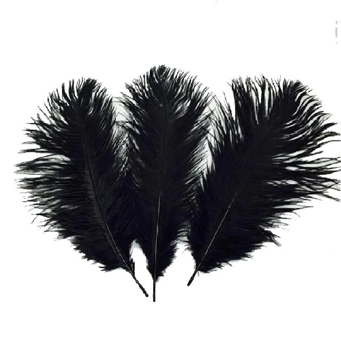 Перья Черные, 30 шт.