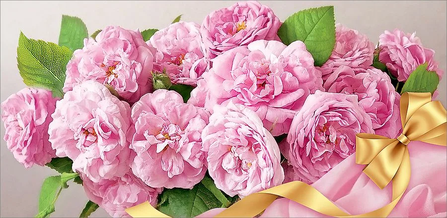 Конверт "Без надписи" (5 шт.)