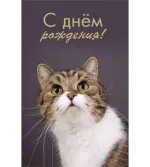 Открытка А5 С днем рождения! кот (10 шт.)