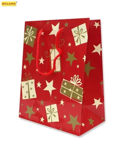 Пакет подарочный Новогодние подарки (М) 12 шт