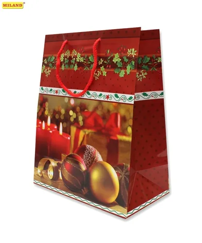 Пакет подарочный Новогодний праздник (L) 12 шт