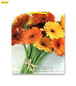 Пакет подарочный Букет гербер (L) 26 х 33 х 14