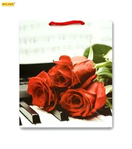 Пакет подарочный Розы и рояль (L) 26 х 33 х 14