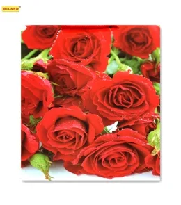 Пакет подарочный Алые розы (ХL) 32 х 45 х 10