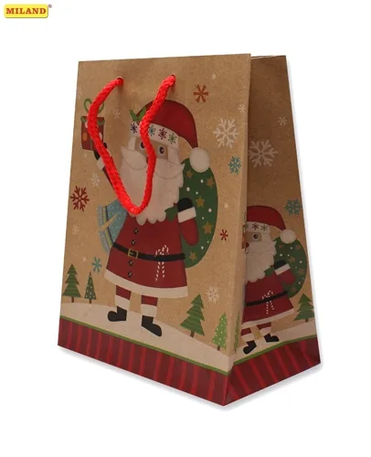 Пакет подарочный Веселый санта (М) 12 шт