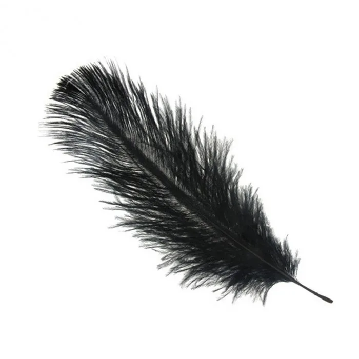 Перья Черные, 30 шт.(Китай)