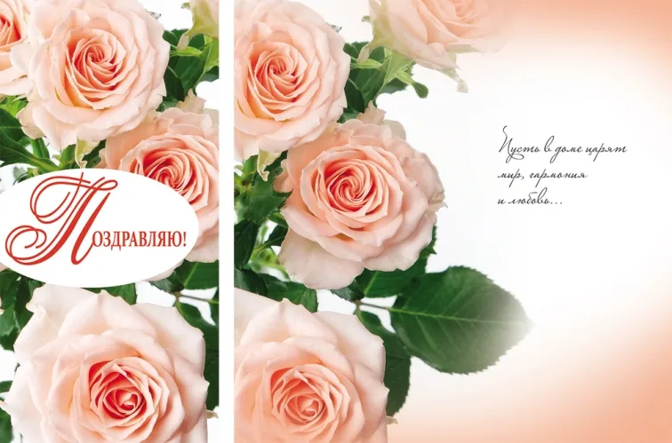 Открытка евро (200х100) Поздравляю! (10 шт.)