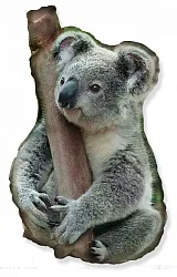 И 14 Коала/ 1 шт /(Испания)