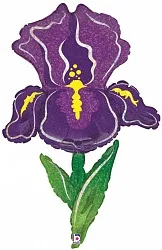 В 42"/107см Фиолетовый ирис, Голография, 1 шт. (США)