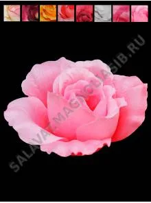 Бутон Роза полураскрытая 7см