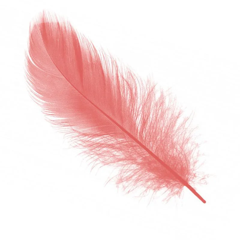 Перья Коралловые, 30 шт.(Китай)