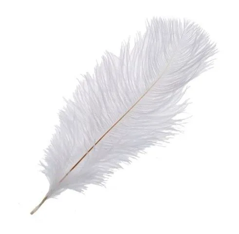 Перья страуса Белые 20-25 см./5 шт./Китай)