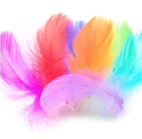 Перья Ассорти нежные,8-12см.,  30 шт.(Китай)