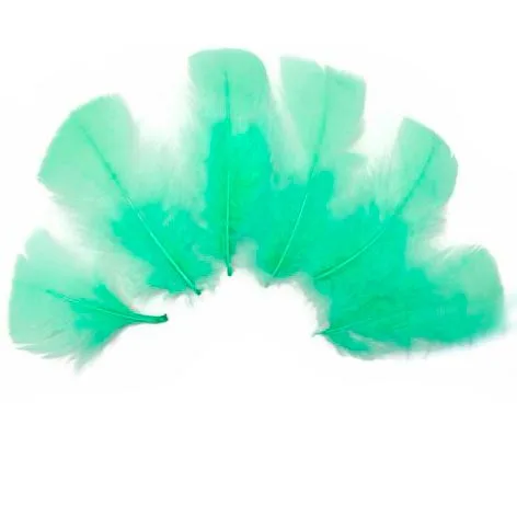 Перья Мятные, 8-12см.,, 30 шт.(Китай)