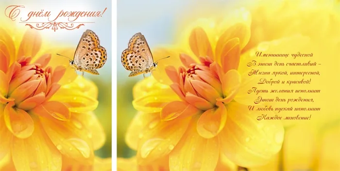 Открытка А5 С Днем рождения! бабочка (10 шт.)