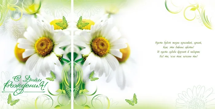 Открытка А5 С Днем рождения! Ромашки (10 шт.)