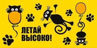 Конверты для денег, Летай высоко! (кошки и шарики), с блестками, 10 шт.