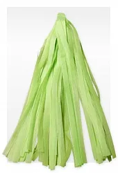 Гирлянда Тассел, Светло-зеленая, 3 м, 12 листов