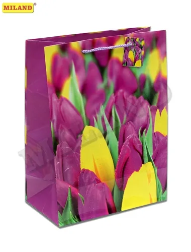 Пакет подарочный Тюльпановое поле  (L) 26 х 33 х 14