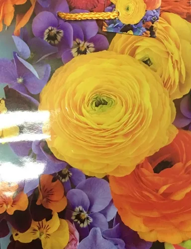 Пакет подарочный  Яркие цветы (М) 18 х 23 х 10