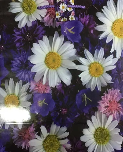 Пакет подарочный Букет с ромашками (L) 26 х 33 х 14