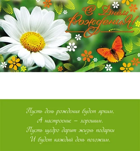 Конверт С днем рождения! Ромашка на зеленом (10 шт.)