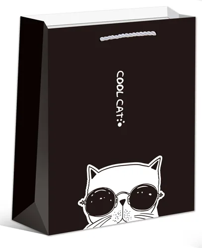 Dream cards Пакет подарочный с матовой ламинацией Крутой кот 26.4х32.7х13.6см (L)