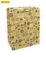 Пакет подарочный с глянцевой ламинацией 18x23x10 см (M) Экспресс-подарок. 157 г