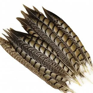 Перья фазана длинные Натуральный цвет  35-40 см/2 шт