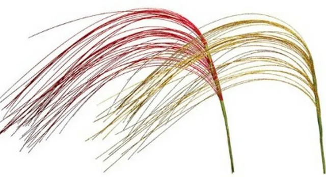 Ковыль, искусств. цветы