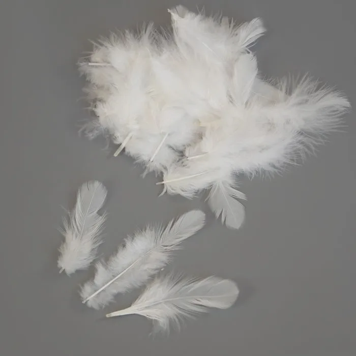 Перья цветные 8-10см белые (100 шт./уп.)