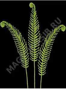 Лист папоротник с бархат. напылением 87см