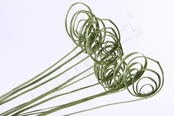 Кейн койл, 10шт. цвет темно-зеленый