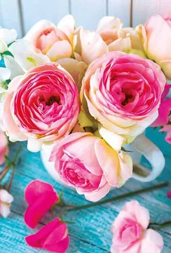 Мини открытка Розы  (20 шт.)