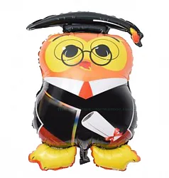 F 31"/79см Сова Выпускник, 1 шт. (Китай)