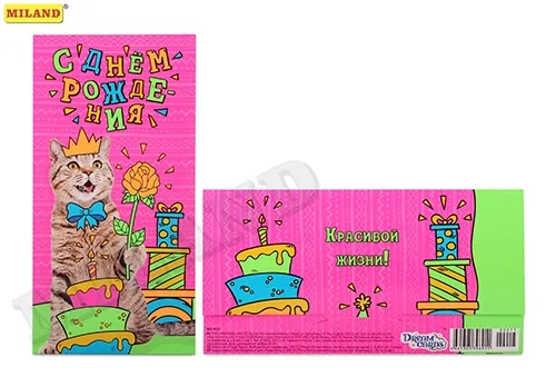 Dream Cards Конверт "С днем рождения!" кот (10 шт.)