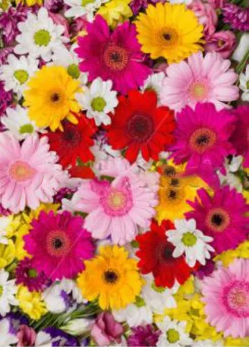 ОПТИМА Пакет подарочный ламинированный Пестрые цветы (L) 26.4х32.7х8